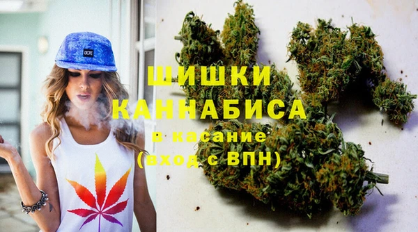 PSILOCYBIN Арсеньев