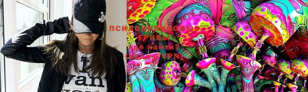 PSILOCYBIN Арсеньев