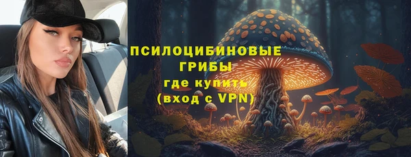apvp Вязники