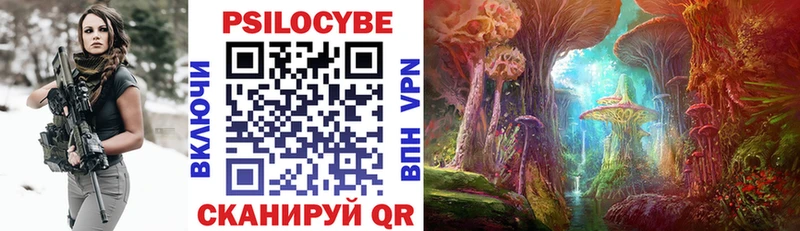 Псилоцибиновые грибы Cubensis  Аша 